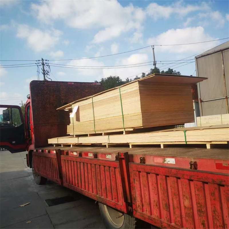 内蒙古锡林郭勒盟二连浩特至塔城货运专线，一站式物流服务助您成功